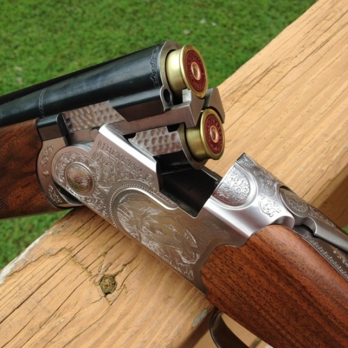 Porn thesportinggunblog:  You chaps (and Ladies) photos