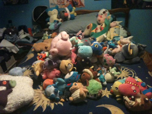 Reorganizing my pokeplush again put them into groups: custom, pokedolls, pokecen/canvas, ufo, jakks, bootlegs, misc (mostly tomy) pokedolls ruling everything in the land