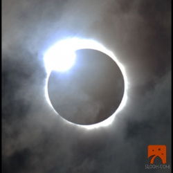 ikenbot:  Total Solar Eclipse of 2012 (Photo Gallery)     The moon blocked out the sun in a total solar eclipse today, briefly turning dawn back into night over parts of northern Australia and the southern Pacific Ocean.      The total solar eclipse began