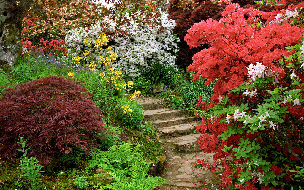 A Nature Blog