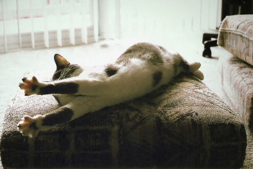 ins0litus:  untitled by tinyearthquakes on Flickr. 