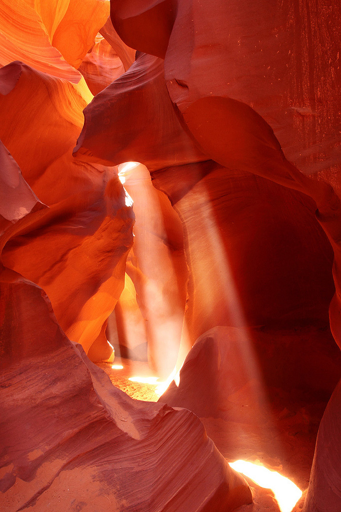 woodendreams:   (by oilfighter) 