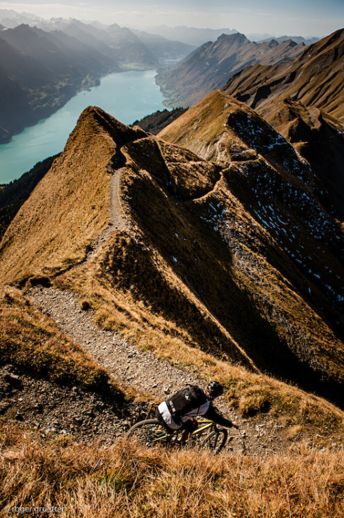 montamigo: griffomtb:  What an insane landscape! Rider: Dave Rölli Trail: De Great (Switzerland) Sou
