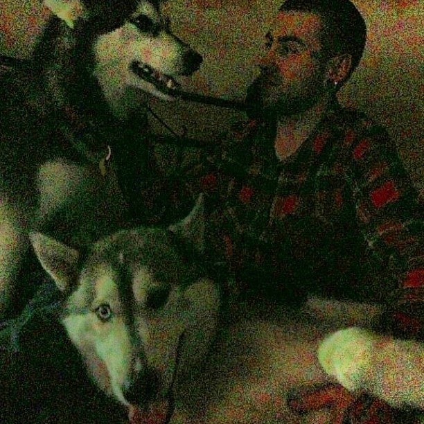 #family #portrait with the kids! #husky #hashtageverythingtopisspeopleoff #boston