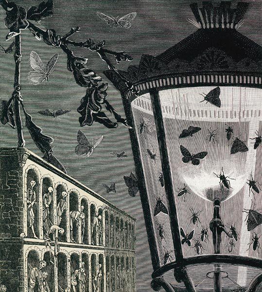 titbit:  Max Ernst 