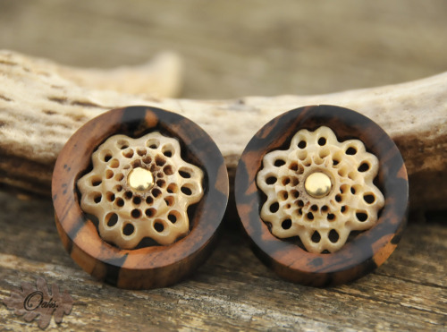 oaksplugs:  1”1/2 Black and white ebony with carved deer antler inlay and brass center pin! This was a custom piece for a friend who said they liked wood and bone. and this is what happened! Bone mandela!