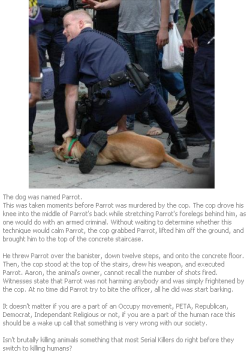yo-chang-bullshit:  inhhale-exhhale:  open-y0urmind:  kaylncoleman:  what the fuck is wrong with people? seriously, the human race can be so fucked up  This literally made me sick to my stomach..  this cop should go to hell makes me so mad  me should