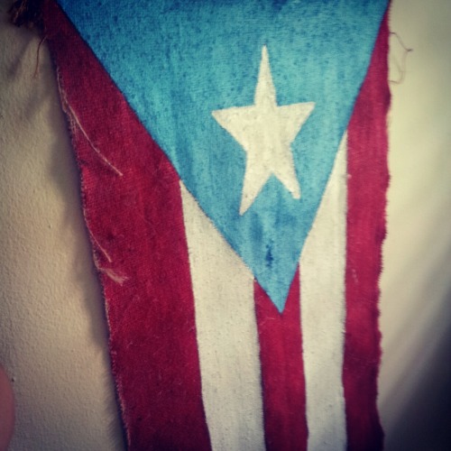 desde-mi-silla:¡Mi hermosa bandera!  ¡Viva Puerto Rico Libre y Socialista!