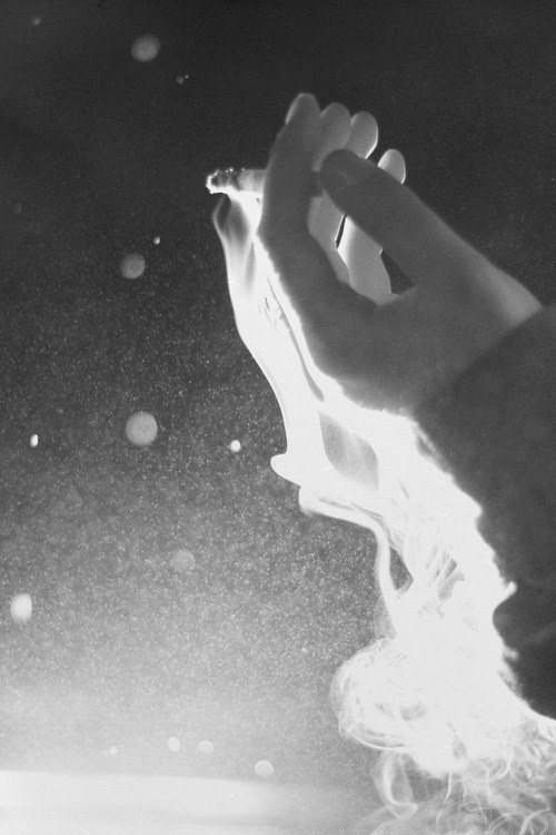 tumblr photo a-little-p1ece-of-heaven 0