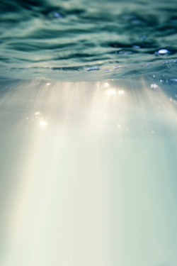 sorry:  there’s something so beautiful about sunlight peeking through water 