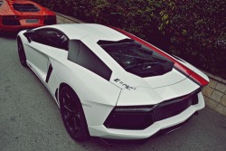 carsnmoney:  johnny-escobar:  Einstein Edition Lamborghini Aventador Seriously though, I have no idea why it has E=MC² on it.   Faster than the speed of light :D yeah idk.