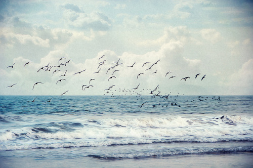 tumblr photo amndaax 0