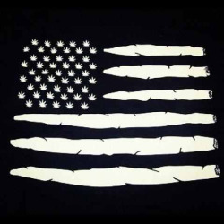 lonely-and-stoned:  Merica! 