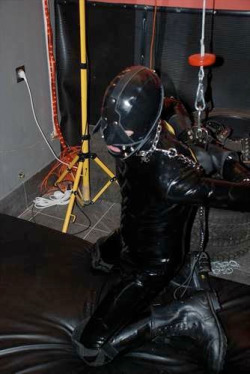 smxlad:  Rubber gimp 