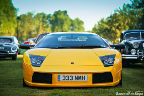 automotivated:  Angry Bull (by G.R.Bispo)