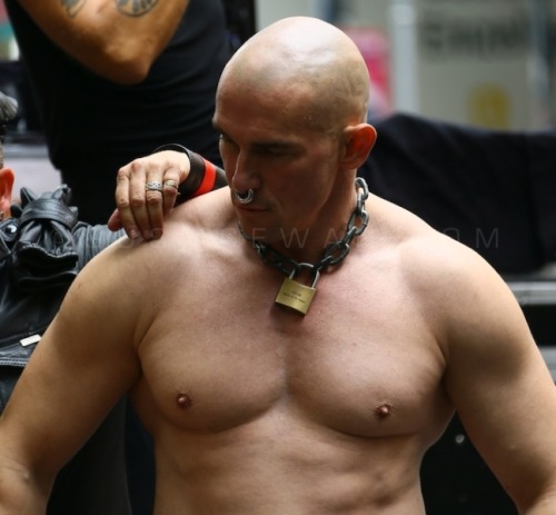 pigboyny:  subzero1977:  Nice thick chain. Nose ring is kinda hot too…  What a hot bull — and he’s kept like one too! 