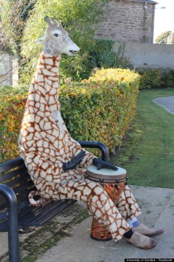 misscoco:  A man who dresses up as a giraffe