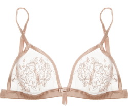 gulping:  i want a transparent bra and a boyfriend to see me wearing it