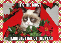 tastefullyoffensive:  Grumpy Cat’s Holiday Card