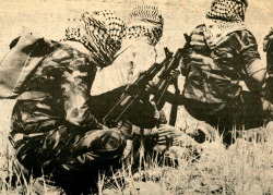 babylonfalling:  Fateh Guerrillas, 1970 