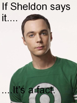 Big-Bang-Bazinga:  If Sheldon Says It, It’s A Fact. And That’s A Fact.