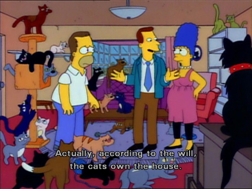 itbeginswithahouse.tumblr.com/post/102943881117/