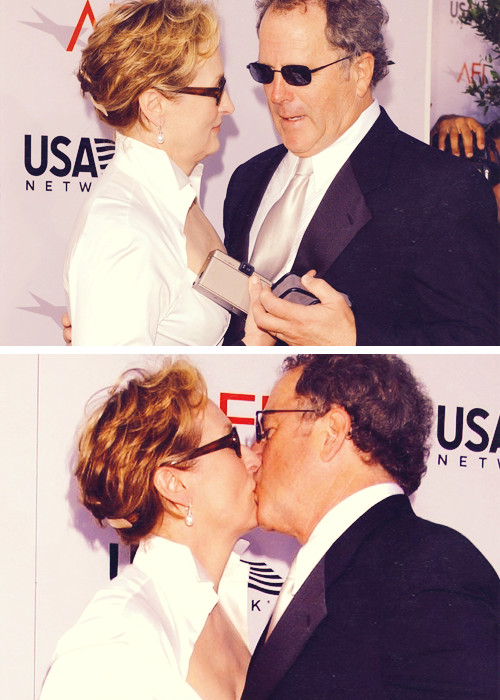 karlatg:  Meryl Streep &amp; Don Gummer - AFI Lifetime Achievement Award 2004