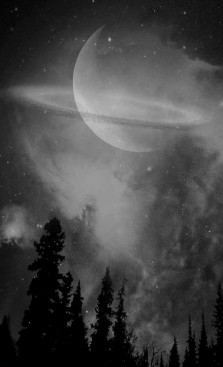 A SKY FOR SHOEING HORSES UNDER