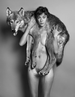 A Wolf at the Door (by Ryan McGinley)