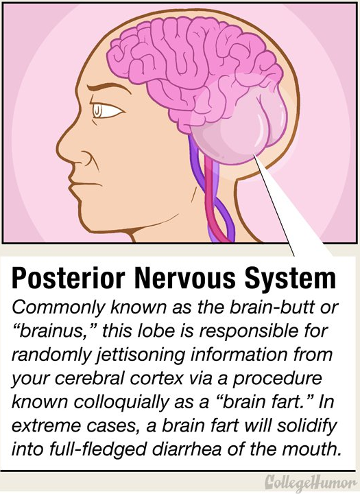 collegehumor:  Almost Reading: 10 Secret Body Parts You Didn’t Know You Had [Click