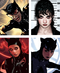  Catwoman By Adam Hughes 
