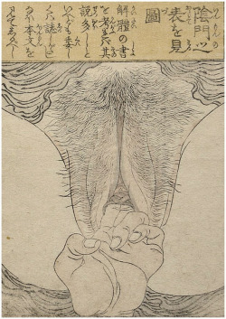 organicbody:  shunga, erotic art 