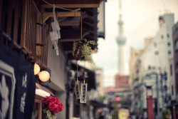 cornersoftheworld:  Asakusa (by CaDs) 