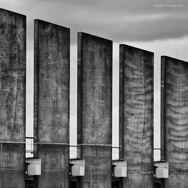 fiore-rosso:  ulrich bednarz. 