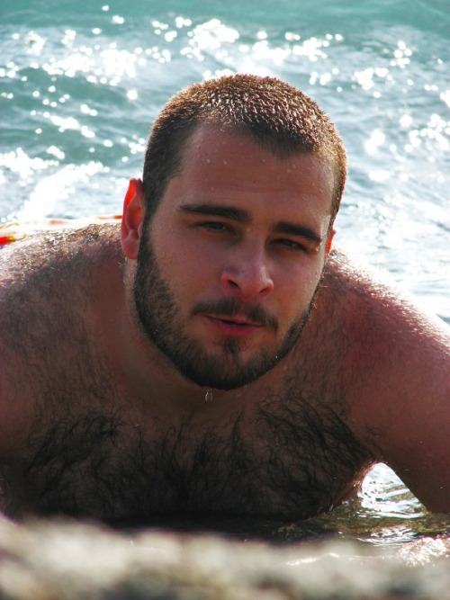 sepdxbear:  So damned hot superbears:  SO CUTE 