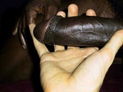 big-cock-appreciation-and-sph.tumblr.com