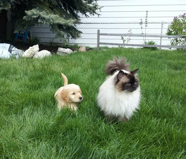 “Follow me, kid. I’ll show you the world.”
Photo via imgur