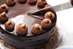 calorie-gallery:  Follow me for more HD picture of your fav. food ! :)