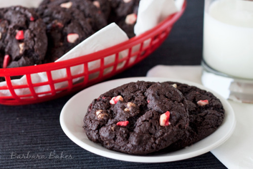 gastrogirl:  chocolate peppermint crunch porn pictures