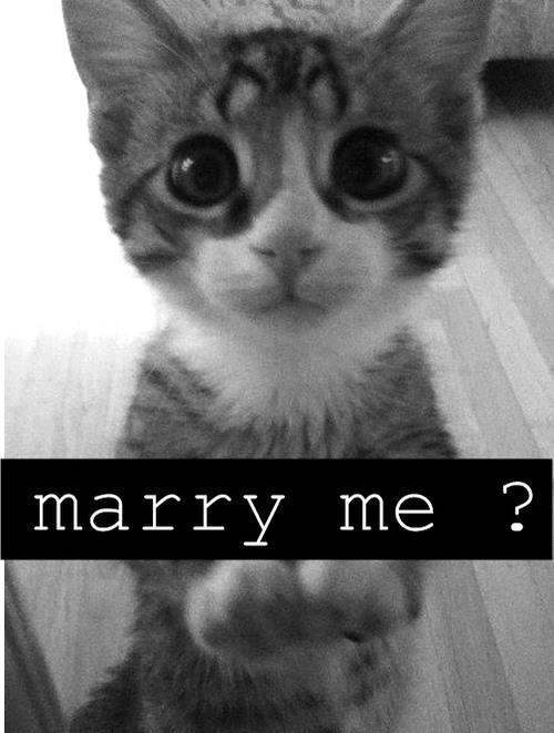 oheyitsjazmine:  Fotos de B1tch on @weheartit.com - http://whrt.it/PYz7JO