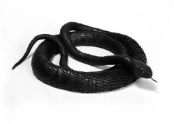  Articulated iron snake,  Myochin Munenobu,