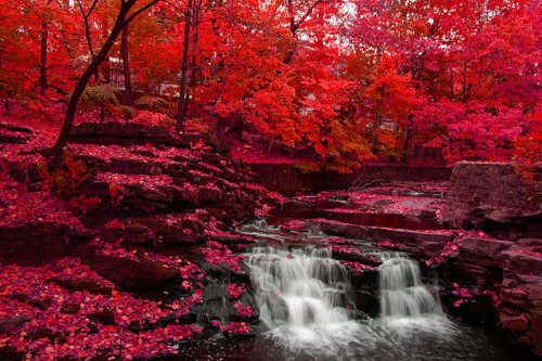planet-earthh:Red Falls by EJP Photo on Flickr.