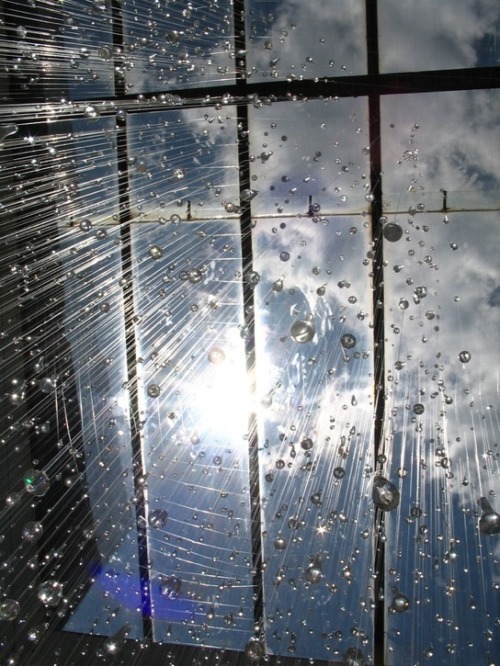 showslow:Chicago-based Stacee Kalmanovsky’s Rain installation is perfectly placed below a skylight, 