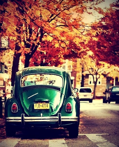 garden state of mind