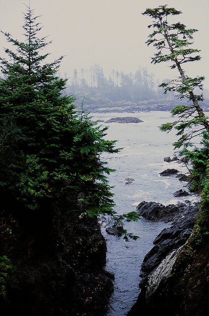 just-breezy:  Ucluelet, British Columbia | V.dot.   want more posts like this? check out my blog!