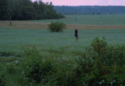 merkmal:The Mirror, Andrei Tarkovsky
