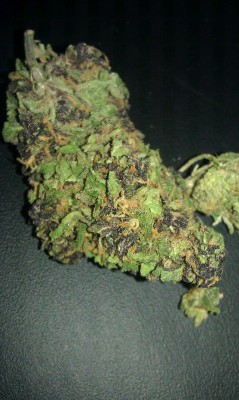 momoblowskush:  Purrpp Time To Blazzee (: