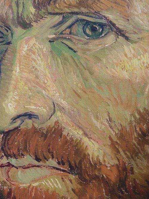 suckulents:  Van Gogh  
