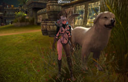 Everything in MMOs are made giant, including the dogs.   Also, what the heck Cappuccino. Why are you dressed like a skank? Oh wait. I know why. 