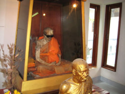 smokingtocircasurvive:  helenofdestroy:  The mummified body of Buddhist monk Phra Khru Samathakittikhun (or Loung Por Daeng) remains on display in Thailand in Wat Kunaram on Koh Samui island per his request, some thirty years after his death. He hoped